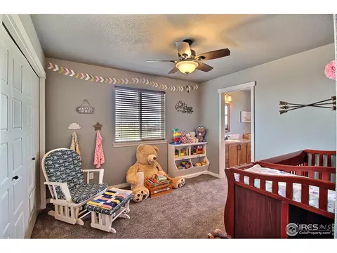 40590 Leif Ln, Ault, CO 80610 photo 30