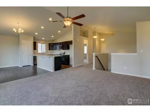 1270 Baker Pass St, Windsor, CO 80550 photo 5