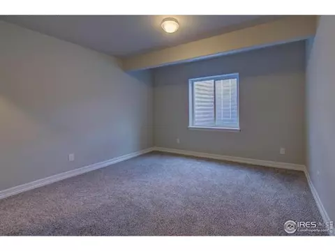 1270 Baker Pass St, Windsor, CO 80550 photo 16