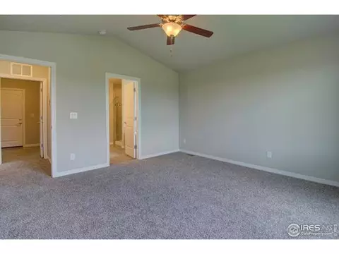 1270 Baker Pass St, Windsor, CO 80550 photo 14