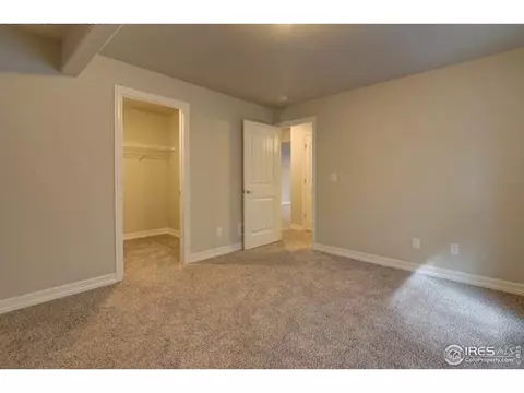 1270 Baker Pass St, Windsor, CO 80550 photo 11