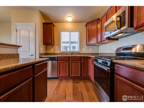 1729 Avery Plz, Windsor, CO 80550 photo 3