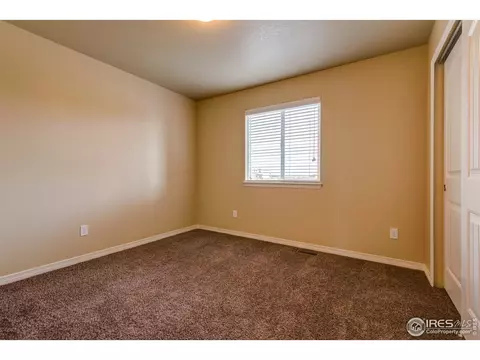 1729 Avery Plz, Windsor, CO 80550 photo 6