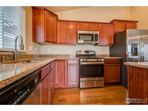 1729 Avery Plz, Windsor, CO 80550 photo 2