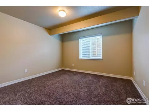 1729 Avery Plz, Windsor, CO 80550 photo 9
