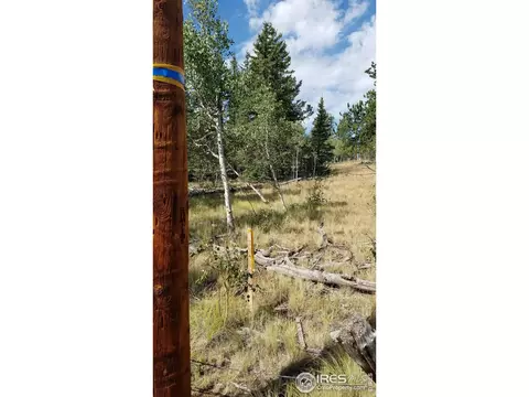 1235 Wampum Ln, Como, CO 80432 photo 15