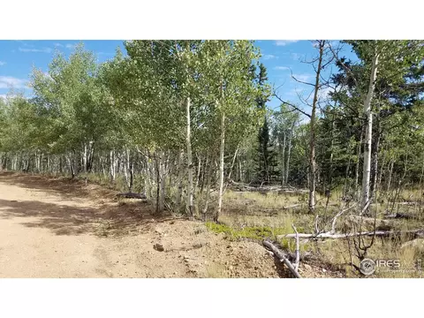 1235 Wampum Ln, Como, CO 80432 photo 7