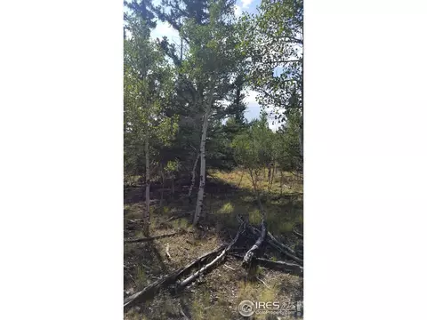 1235 Wampum Ln, Como, CO 80432 photo 17