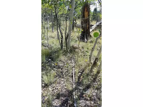 1235 Wampum Ln, Como, CO 80432 photo 20
