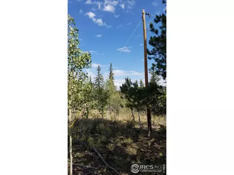 1235 Wampum Ln, Como, CO 80432 photo 11