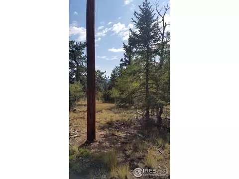 1235 Wampum Ln, Como, CO 80432 photo 13