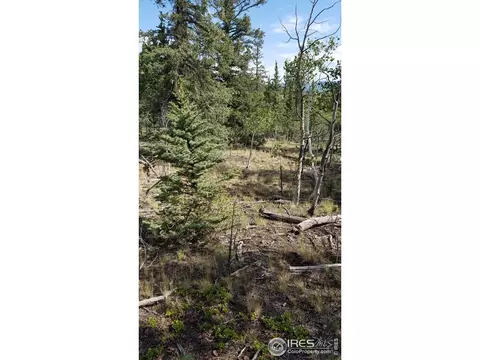 1235 Wampum Ln, Como, CO 80432 photo 8