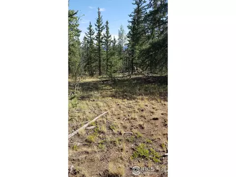 1235 Wampum Ln, Como, CO 80432 photo 14