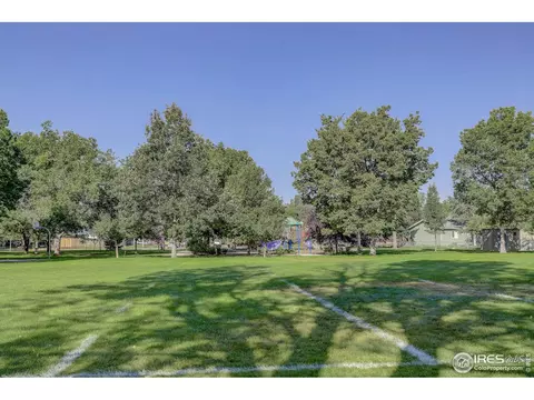 613 10th St, Windsor, CO 80550 photo 18
