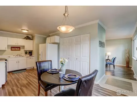 613 10th St, Windsor, CO 80550 photo 4