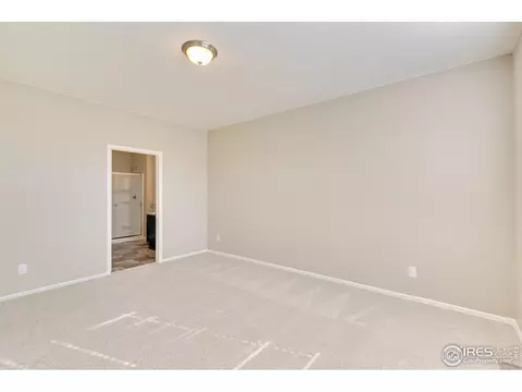 1774 Summer Bloom Dr, Windsor, CO 80550 photo 20