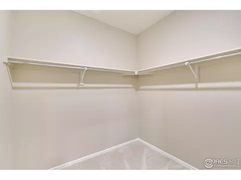 1774 Summer Bloom Dr, Windsor, CO 80550 photo 21