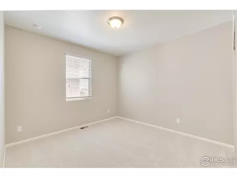 1774 Summer Bloom Dr, Windsor, CO 80550 photo 13