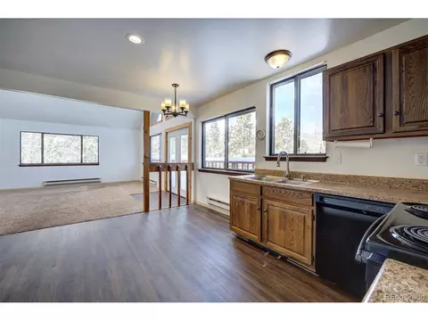 250 Ranch Way, Bailey, CO 80421 photo 11