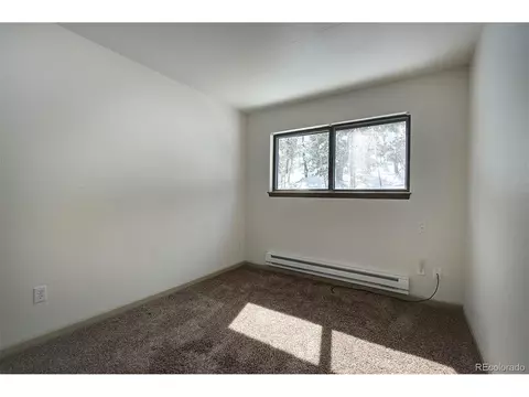 250 Ranch Way, Bailey, CO 80421 photo 25