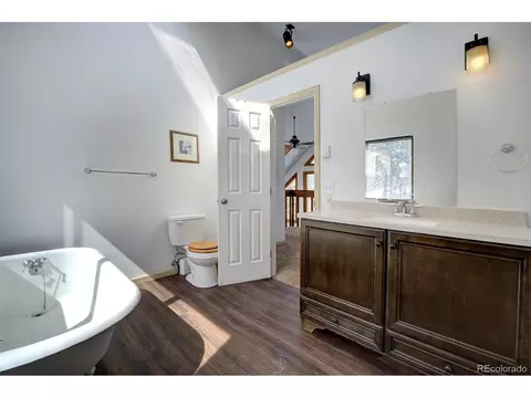 250 Ranch Way, Bailey, CO 80421 photo 20