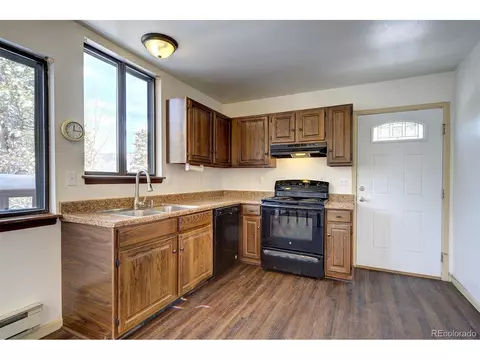 250 Ranch Way, Bailey, CO 80421 photo 12