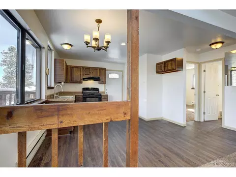 250 Ranch Way, Bailey, CO 80421 photo 8