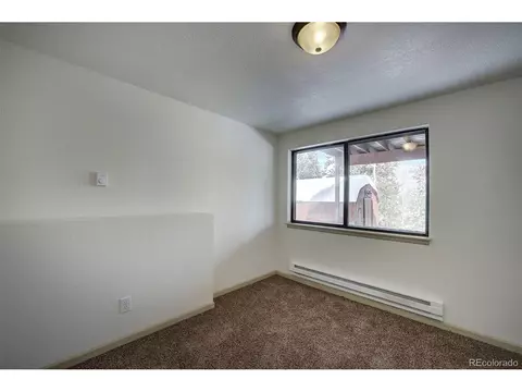 250 Ranch Way, Bailey, CO 80421 photo 29