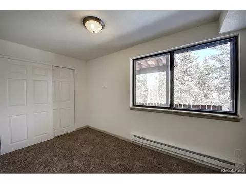 250 Ranch Way, Bailey, CO 80421 photo 31