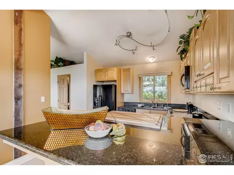 233 Badger Rd, Black Hawk, CO 80422 photo 9