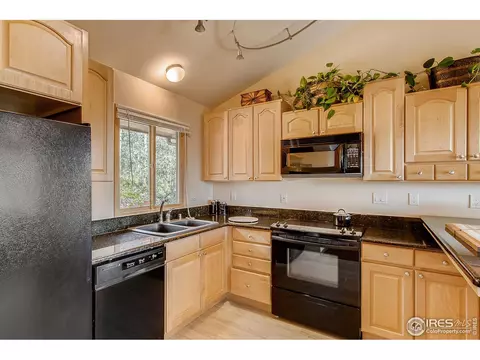 233 Badger Rd, Black Hawk, CO 80422 photo 12