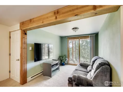 233 Badger Rd, Black Hawk, CO 80422 photo 18