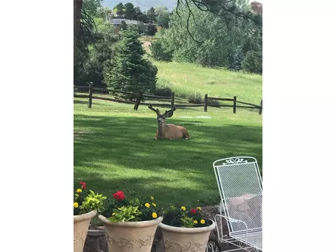 6431 Crestbrook Dr, Morrison, CO 80465 photo 38