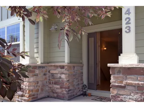 423 Raymond Ct, Lyons, CO 80540 photo 3