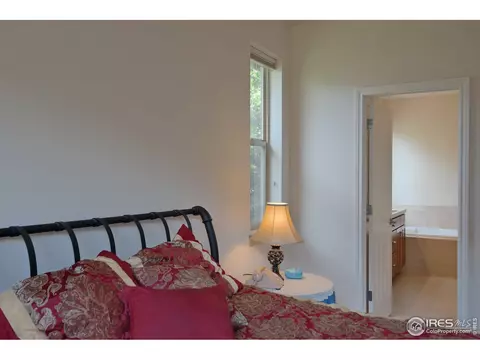 423 Raymond Ct, Lyons, CO 80540 photo 17