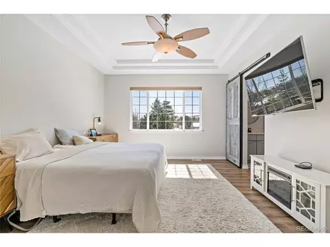 7667 Torrey Ct, Arvada, CO 80007 photo 15