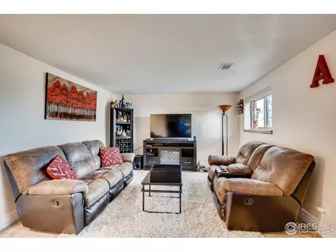 2466 E 99th Ave, Thornton, CO 80229 photo 24