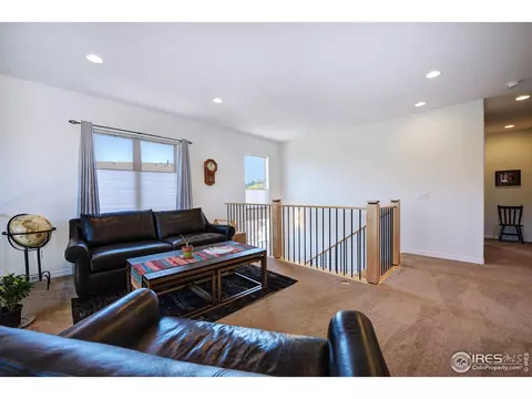 509 Goranson Ct, Lyons, CO 80540 photo 16