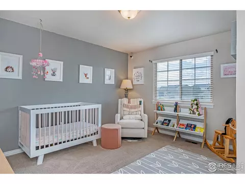 5821 Waverley Ave, Firestone, CO 80504 photo 19