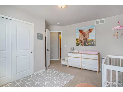 5821 Waverley Ave, Firestone, CO 80504 photo 20