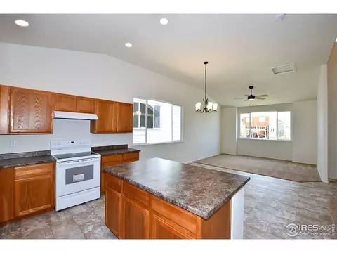 903 Mt Shavano Ave, Severance, CO 80550 photo 16