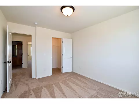 903 Mt Shavano Ave, Severance, CO 80550 photo 37