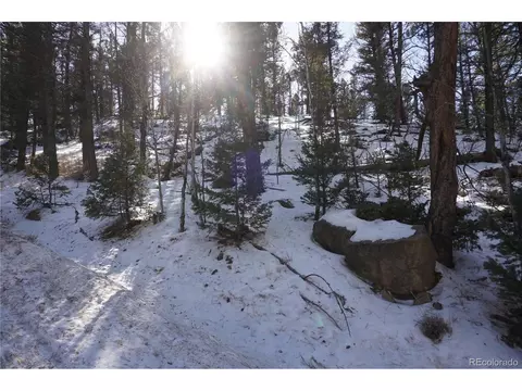 313 Crystal Peak Rd, Florissant, CO 80816