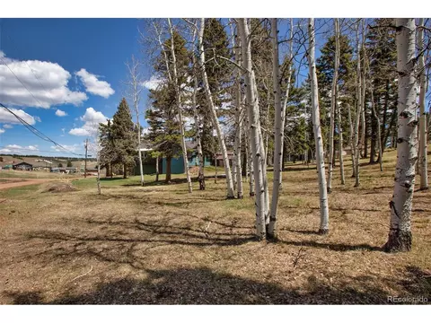 571 Will Scarlet Dr, Divide, CO 80814
