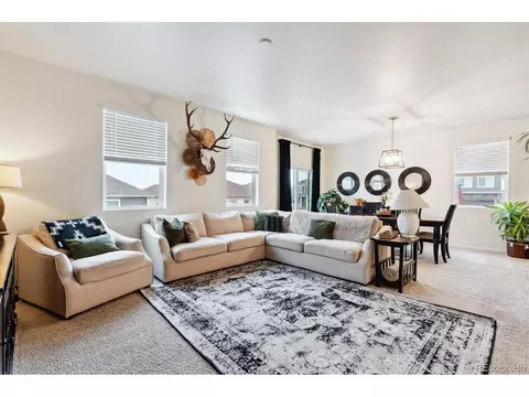 7227 Clarke Dr, Frederick, CO 80530 photo 11