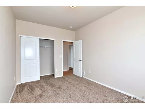 808 Mt Sneffels Ave, Windsor, CO 80550 photo 34