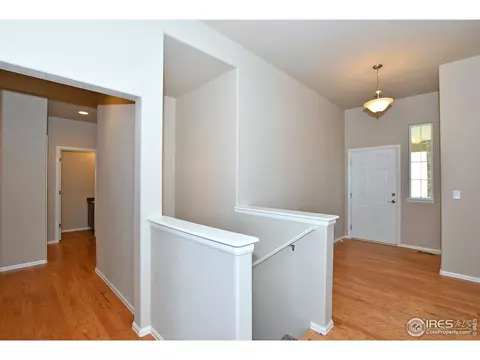 808 Mt Sneffels Ave, Windsor, CO 80550 photo 18