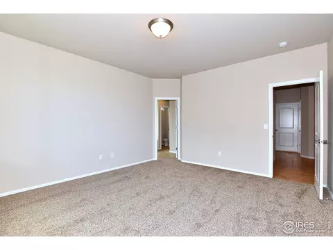 808 Mt Sneffels Ave, Windsor, CO 80550 photo 24
