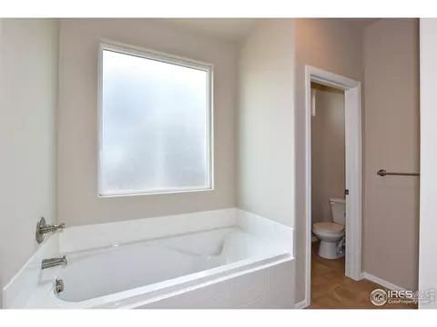 808 Mt Sneffels Ave, Windsor, CO 80550 photo 27