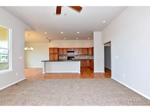808 Mt Sneffels Ave, Windsor, CO 80550 photo 6